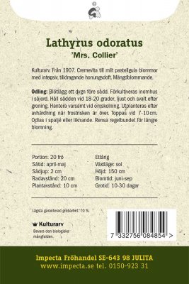 Luktärt, Mrs. Collier