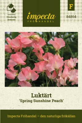 Luktärt Spring Sunshine Peach