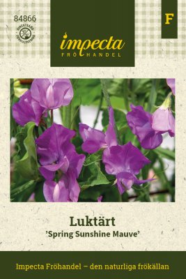 Luktärt Spring Sunshine Mauve