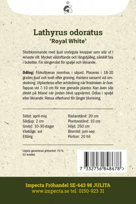 Luktärt Royal White