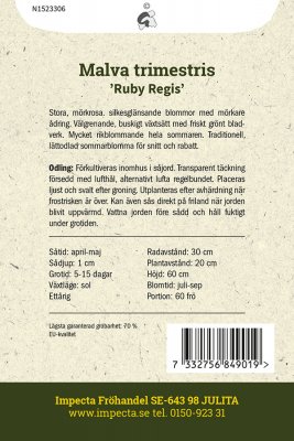 Malva, Sommar-, Ruby Regis