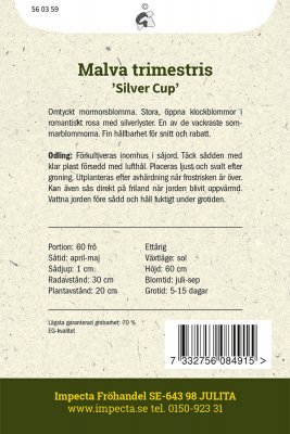 Malva, Sommar-, Silver Cup