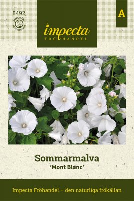 Malva, Sommar-, Mont Blanc