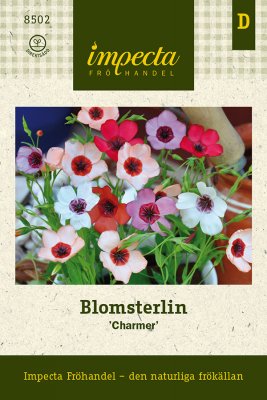 Blomsterlin 'Charmer'