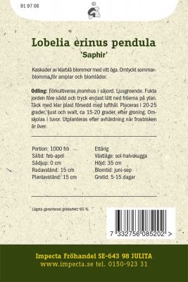 Lobelia, Häng-, Saphir