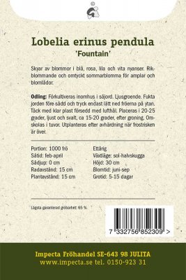 Lobelia, Häng-, Fountain