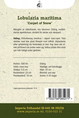 Strandkrassing, 'Carpet of Snow'