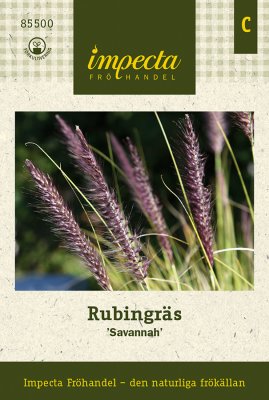 Rubingräs 'Savannah'