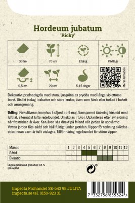 Prydnadsgräs, Ekorrkorn Ricky
