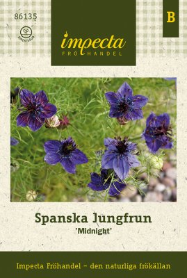 Spanska Jungfrun Midnight