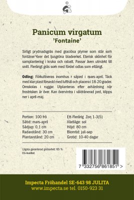 Jungfruhirs 'Fontaine'