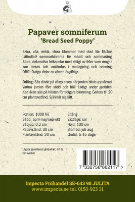 Vallmo, Enkel, Bread Seed Poppy
