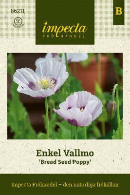 Vallmo, Enkel, Bread Seed Poppy