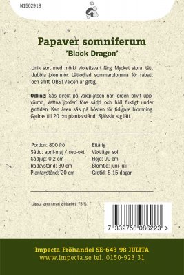 Vallmo, Pion-, 'Black Dragon'