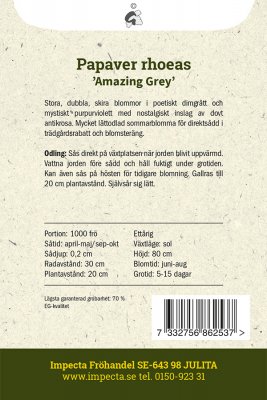 Vallmo, Korn-, Amazing Grey