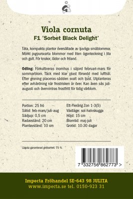 Pensé, Mini-, F1 'Sorbet Black Delight'