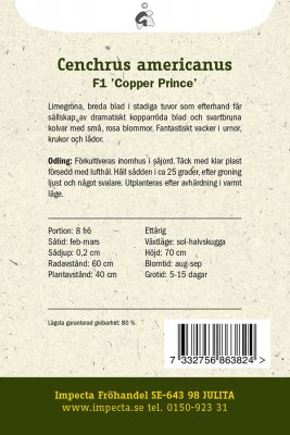 Pärlhirs, 'Copper Prince' F1
