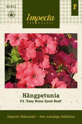 Petunia, Häng-, Easy Wave Coral Reef F1