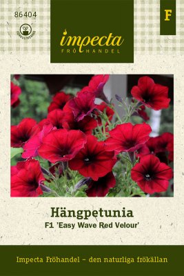 Petunia, Häng-, Easy Wave Red Velour F1