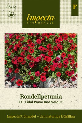 Petunia, Rondell-, F1 Tidal Wave Red Velour