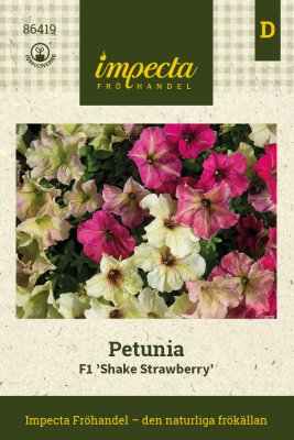 Petunia F1 Shake Strawberry