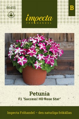 Petunia, F1 'Success! HD Rose Star'