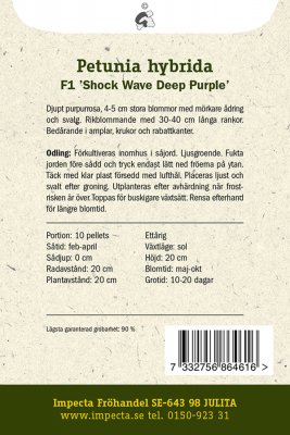 Petunia, Häng-, F1 Shock Wave Deep Purple