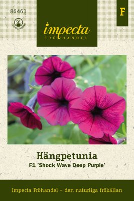 Petunia, Häng-, F1 Shock Wave Deep Purple