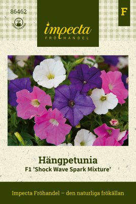 Petunia, Häng-, F1 Shock Wave Spark Mixture