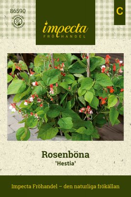 Böna, Rosen-, Hestia