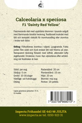 Toffelblomma F1 Dainty Red Yellow