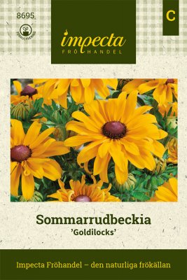 Rudbeckia, Sommar-, Goldilocks