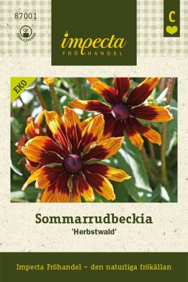 Rudbeckia, Sommar-, 'Herbstwald', Ekologisk