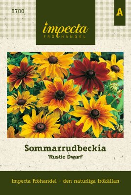 Rudbeckia, Sommar-, Rustic Dwarf