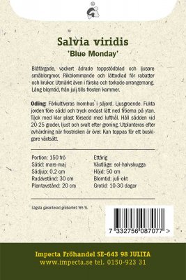 Salvia, Brok-, Blue Monday