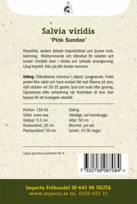 Salvia, Brok-, Pink Sundae