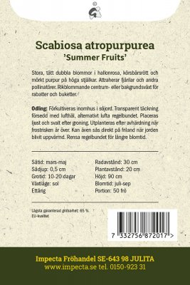 Praktvädd Summer Fruits