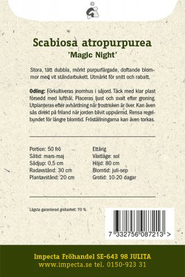 Praktvädd, Magic Night