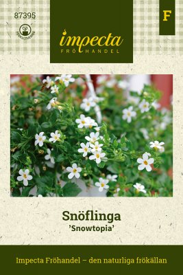 Snöflinga, Snowtopia