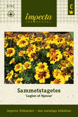 Tagetes, Sammets-, Legion Of Honour