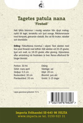Tagetes, Sammets-, 'Fireball'