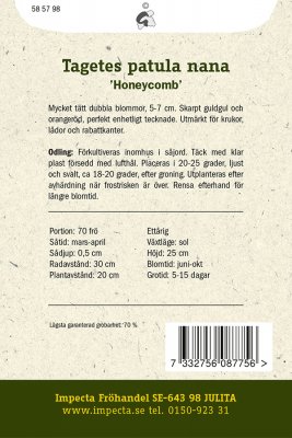 Tagetes, Sammets-, Honeycomb