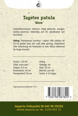 Tagetes, Sammets-, Glow