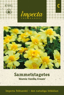 Tagetes, Sammets-, Alumia Vanilla Cream