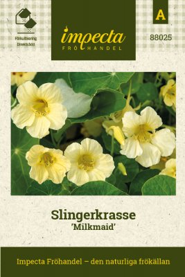 Krasse, Slinger-, Milkmaid