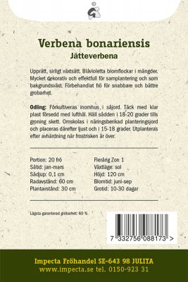 Verbena, Jätte-