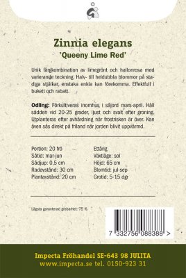 Zinnia, 'Queeny Lime Red'