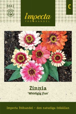 Zinnia, Whirligig Fun