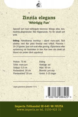 Zinnia, Whirligig Fun