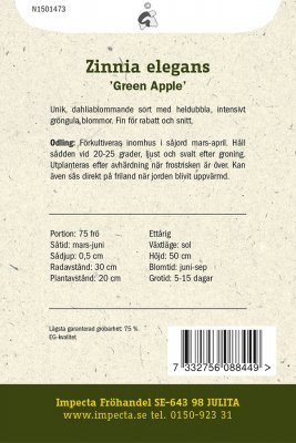Zinnia, Green Apple